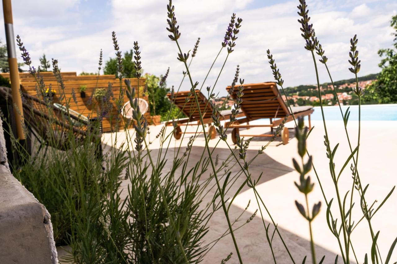 Todor Boutique House Villa Sremska Kamenica Exterior photo